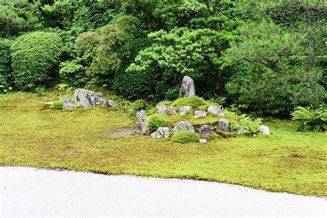 1798林峰林若荷1798林峰荷花小说2022已更新今日资讯