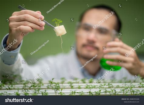 Agriculture Scientist 的图像结果