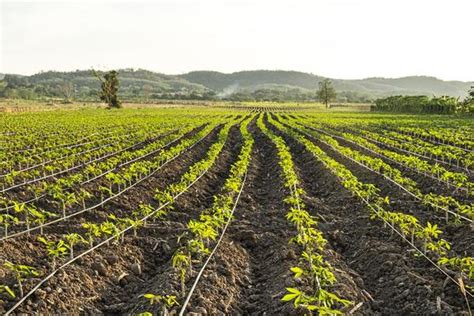 Agriculture Farm Background 的图像结果