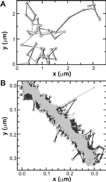 Image result for Manual Tracking ImageJ
