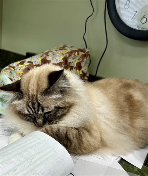 Troutman Animal Hospital, Veterinarians and Staff