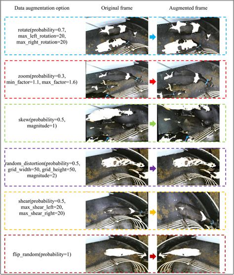 Image result for Data Augmentation Methods For
