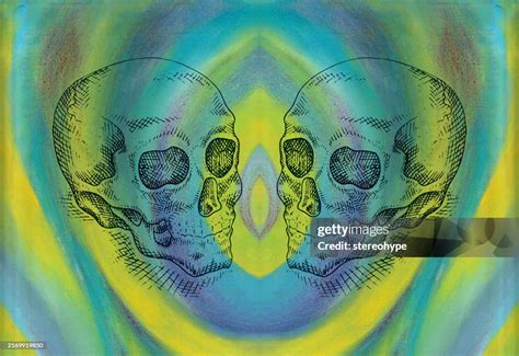 Common Language Graphic 的图像结果