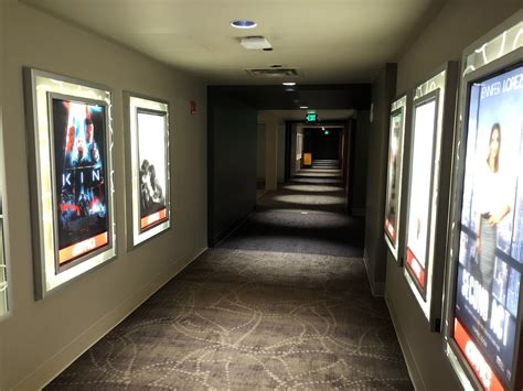 Show Time! - Buffalo Rising