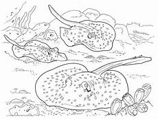 malvorlagen unterwasser tiere ausmalbilder unterwasserwelt ausmalbilder malvorlagen unterwasser tiere ausmalbilder unterwasserwelt ausmalbilder