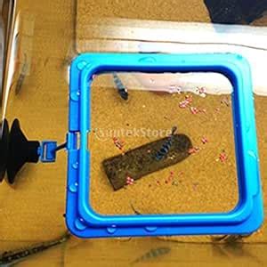 UJEAVETTE® Aquarium Feeding Ring Fish Tank Station Floating Food Tary ...