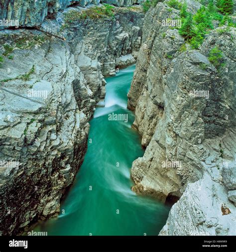 south fork flathead river flowing through a narrow gorge at meadow ...
