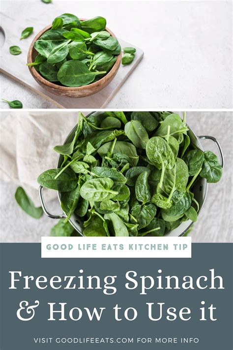 How to freeze fresh spinach – Artofit