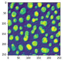 Image result for Biological Image Analysis Using R