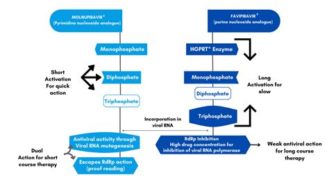 Mankind Pharma Launches Anti-COVID-19 pill Molulife- Molnupiravir 200mg
