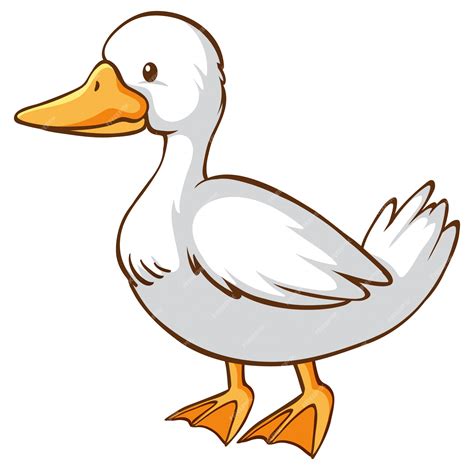 Clipart Duck