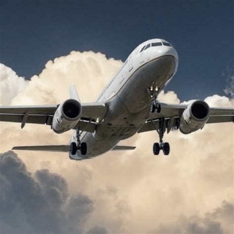 Newark Airport Reaches Record Cancellations as Amazon Plans Collapse ...