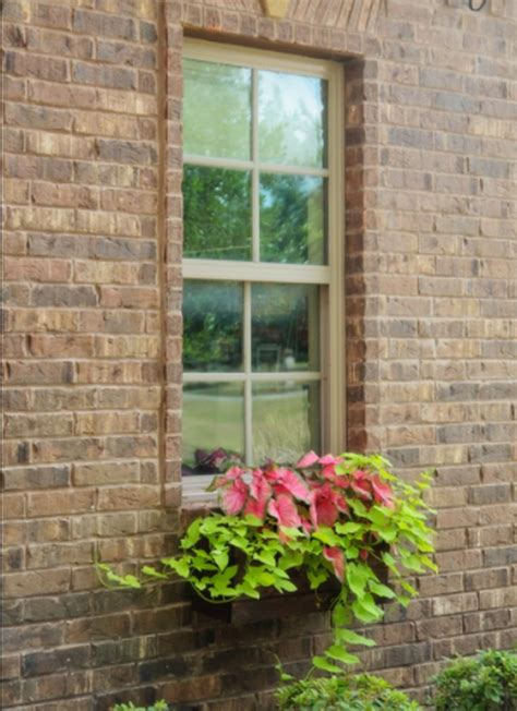 Image result for DIY Window Box