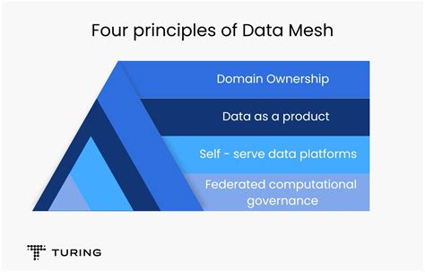 Data Mesh Principles 的图像结果