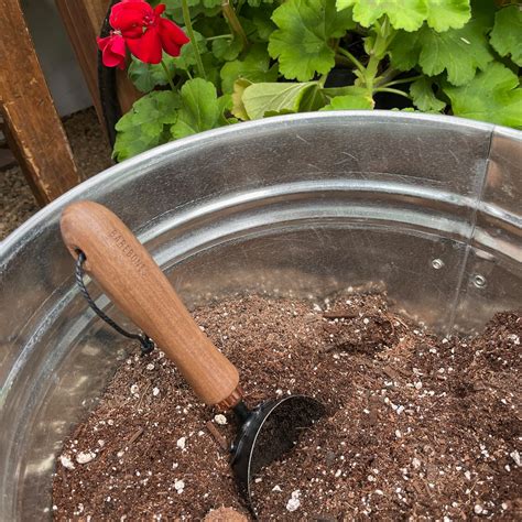 Gardening Projects & Resources: Expert Tips, Plant Care Guides, DIY ...