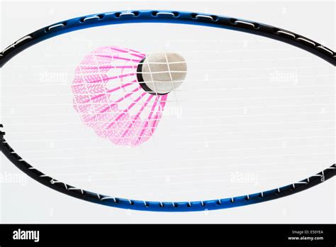 Badminton Racket and Shuttle 的图像结果