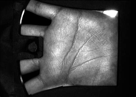 Palm Print Identification System 的图像结果