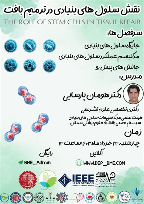 کارگاه نقش سلول‌های بنیادی در ترمیم بافت - دپارتمان مهندسی پزشکی