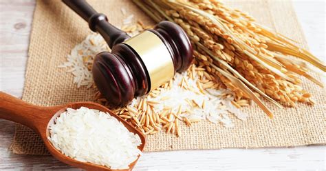 9th Circuit says USDA wrongly let ultra-processed foods and QR-code ...