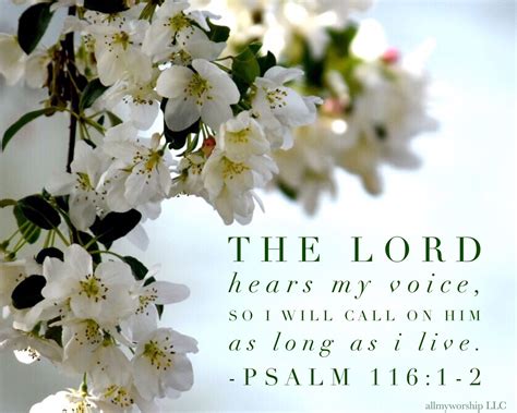 Psalm 116:1-2 Photo taken and edited by Amy Coleman allmyworship LLC ...