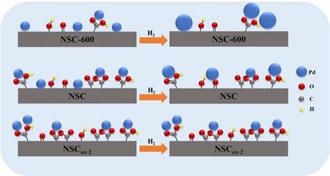 Effects of Surface Oxygen-Containing Groups of the Flowerlike Carbon ...