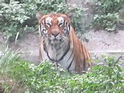 Image result for Computer Image in Bit Computer Graphic