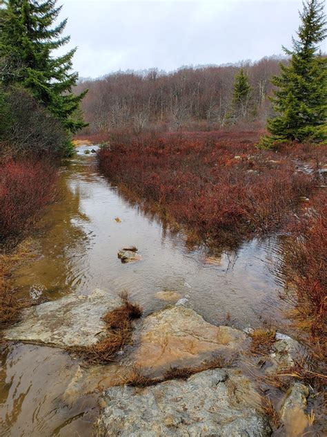 Dolly Sods, WV : r/WildernessBackpacking