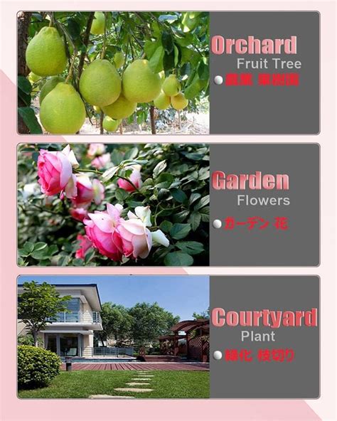 Buy Pruning Shears Battery Powered 18V 4000mA,Cordless Electric Pruner ...