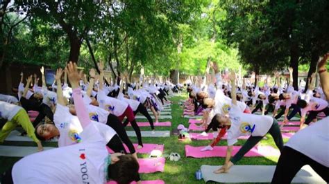 From Seoul's bustling streets to Peruvian mountains, International Day ...