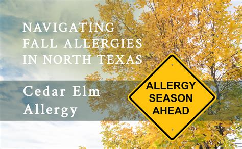 Adc Allergy North Austin at John Moses blog