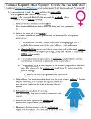 Crash Course Reproductive 的图像结果