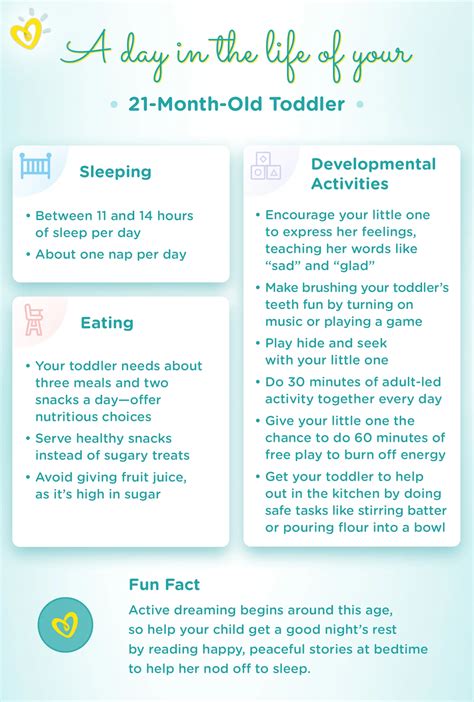 21-Month-Old – Baby Development Milestones | Pampers IN