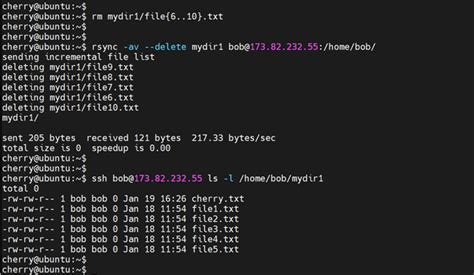 Rsync Storage 的图像结果