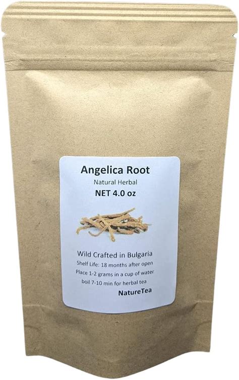 Angelica Root -Angelica archangelica Dried Root Cut India | Ubuy