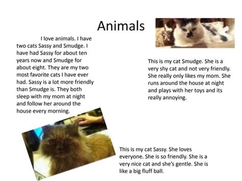 Image result for Cat Command in Shell Script