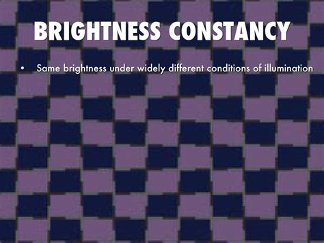Image result for Brightness Constancy