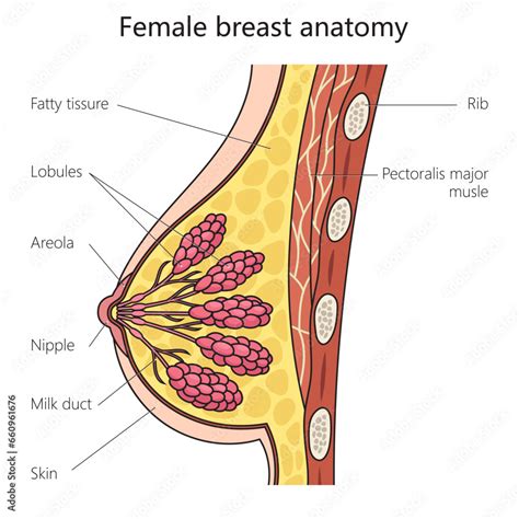 Image result for JavaScript ABS Function