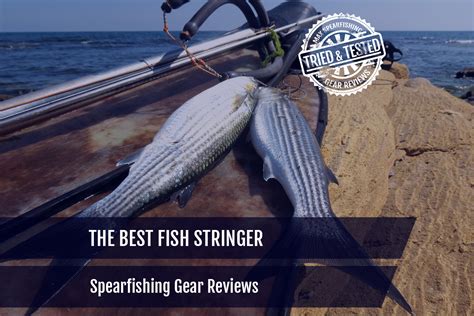 Image result for Best Fish Stringer