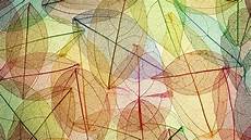 Fall Backgrounds Simple by Colorful Minimalism Leaves Fall Transparency Simple Fall Backgrounds Simple