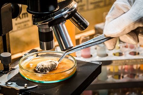 Image result for Jhon Mold Testing