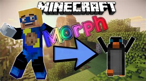 Image result for How to Install Forge Morph Mod