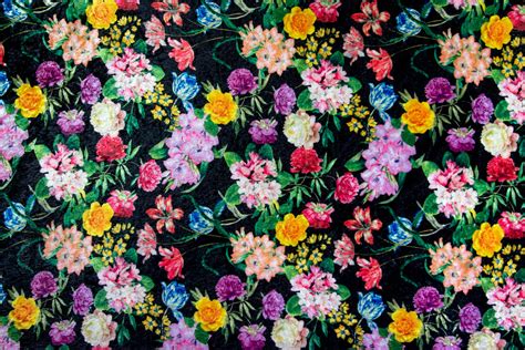 Flower Texture Photos, Download The BEST Free Flower Texture Stock ...