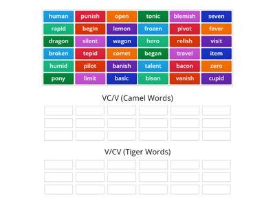 Syllable Pattern CV 的图像结果