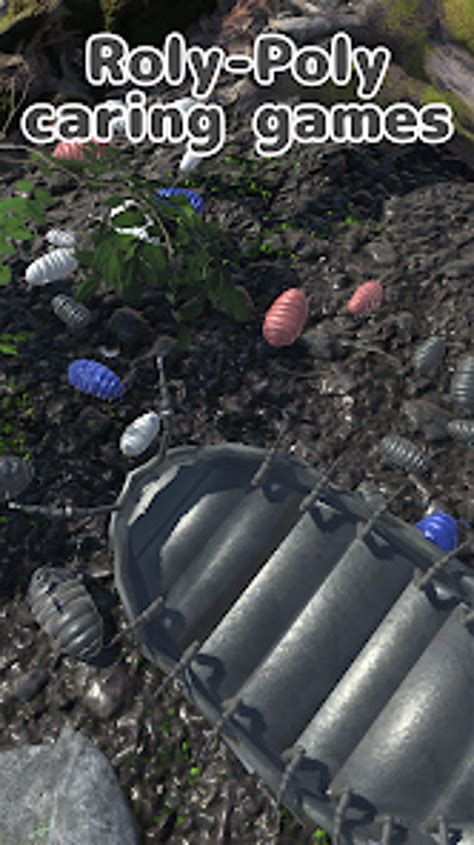 Image result for Roly Poly