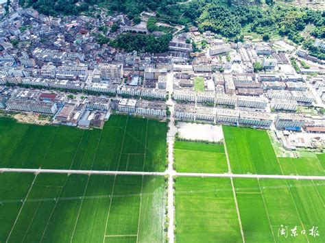 福鼎市2023年财政衔接推进乡村振兴补助资金项目计划公示。_腾讯新闻