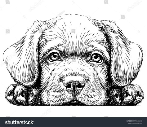 Image result for Code Based Approach to Reading