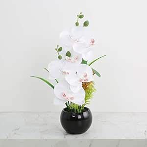 Buy Home Centre Gardenia Artificial Orchid in Pot Online at Low Prices ...