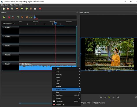 Image result for Open Shot Video Editor Worksheet