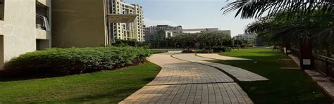 Sakla Landscaping Complete Gardening Solution