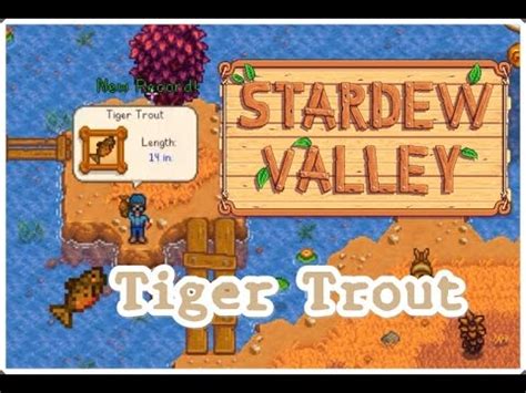 Stardew valley rainbow trout - julucustom